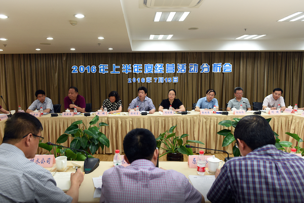 yp街机集团召开2016年度上半年经营工作分析会议